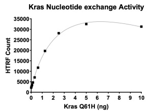 Kras Q61H Nucleotide Exchange Assay Kit